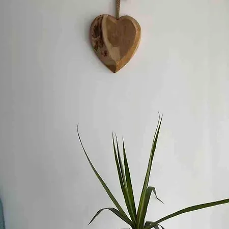 Apartmán Tavarualoredo Loredo